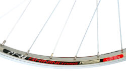 Esiratas 28" - Shining CT-46 NUT - Image 3
