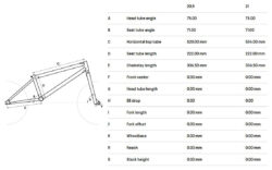 Bike - CTM Pop 20" Hi-Ten - Image 2