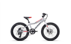 Velosipēds - CTM Jerry 3.0 20"