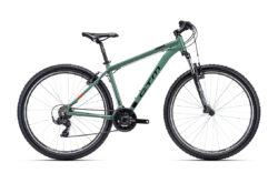 Velosipēds - CTM Rein 1.0 29"