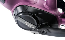Bike - CTM Senze e-Trekking 29" - Image 3