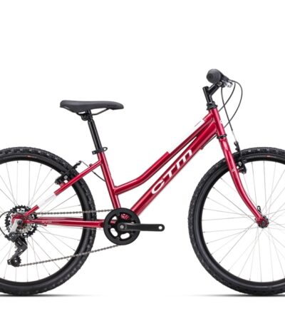 Velosipēds - CTM Mony 24"