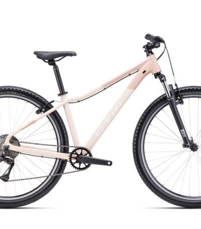 Velosipēds - CTM Charisma 1.0 29"