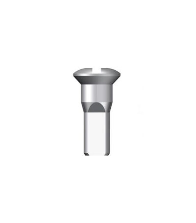 Spieķu galviņas - Sapim 13G Round Head Brass Silver