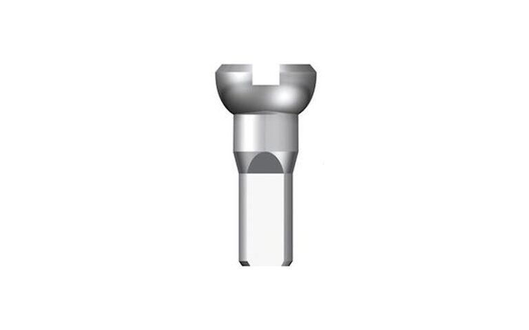 Spieķu galviņas - Sapim 14G Polyax Brass Silver