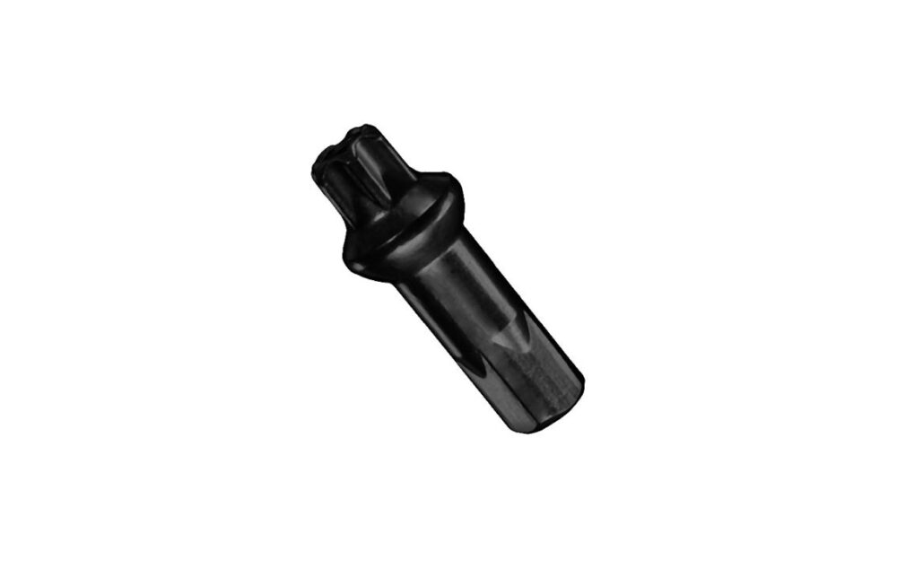 Spieķu galviņas - DT Swiss Pro Lock Squorx Pro Head 14G 2x15 mm BRASS