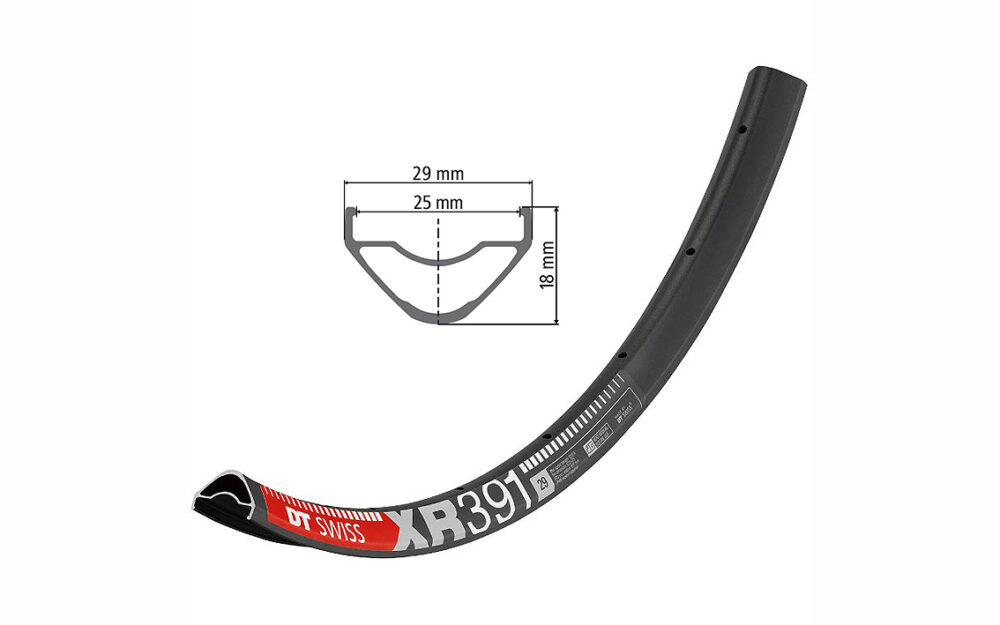 Riteņa aploce - DT Swiss 29" XR 391