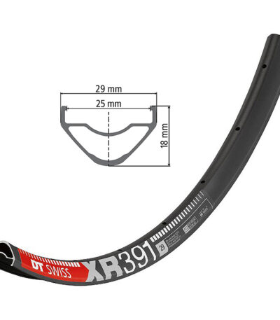 Riteņa aploce - DT Swiss 29" XR 391