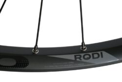 Wheel rear 29" - Rodi Tryp 30 EVO QR 6-Bolt FH - Image 3