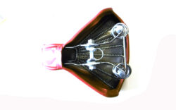 Sadul - Deepak 66260 - Image 2