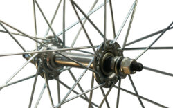 Esiratas 28" - Shining 7X NUT - Image 2
