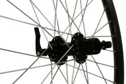 Aizmugurējais ritenis - Shining 24" DB-30 QR SB 6-Bolt FH - Image 2