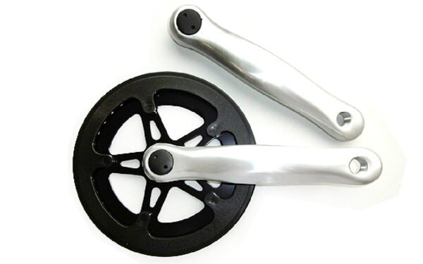 Priekšējā zvaigznīte - Sapience City