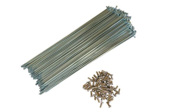 Spieķi - Pillar 2 x 239 mm