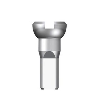 Spieķu galviņas - Sapim 14G Polyax Brass Silver