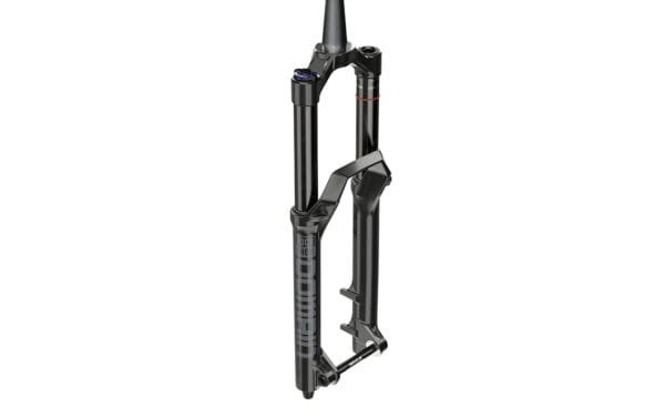 Dakša - RockShox Domain RC Debonair 29"
