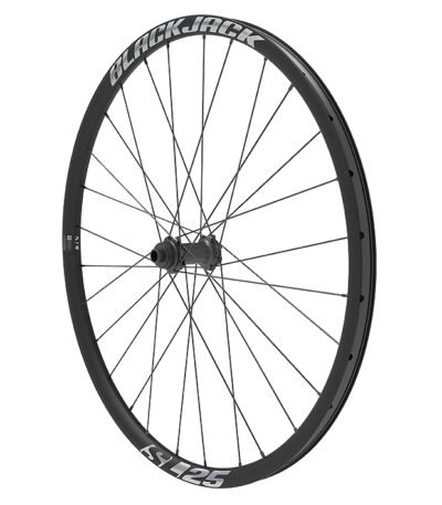 Priekšējais ritenis 700C - BlackJack SL 25 ASY 12x100 Center Lock SB