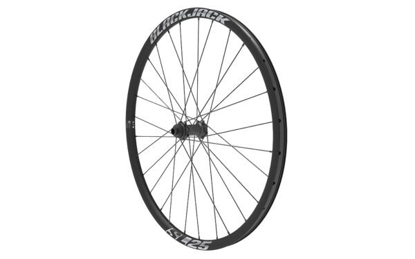 Priekšējais ritenis 700C - BlackJack SL 25 ASY 12x100 Center Lock SB