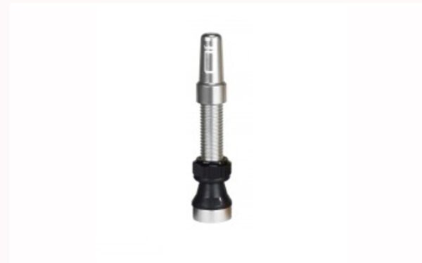 Bezcaurules vārsts - Duke