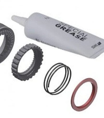 Remonta komplekts aizmugurējās rumbas tarkšķi - DT Swiss Ratchet EXP