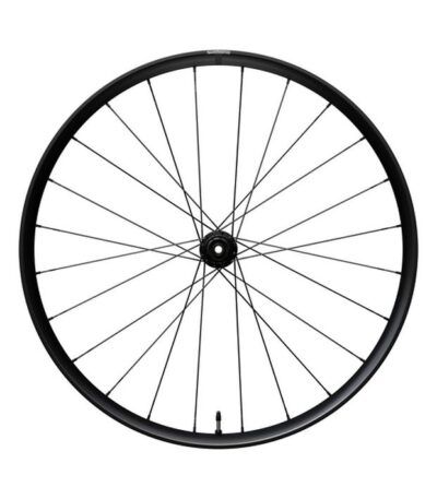 Aizmugurējais ritenis - Shimano 28" GRX WH-RX180-TL-R12-700C