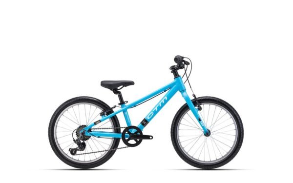 Velosipēds - CTM Flash 20"