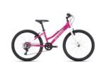 Velosipēds - CTM Mony 24"