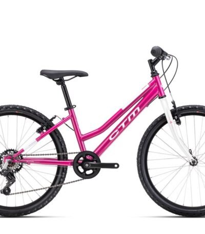 Velosipēds - CTM Mony 24"