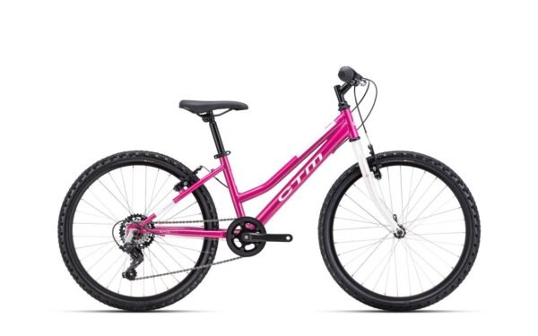 Velosipēds - CTM Mony 24"