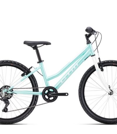 Velosipēds - CTM Mony 24"