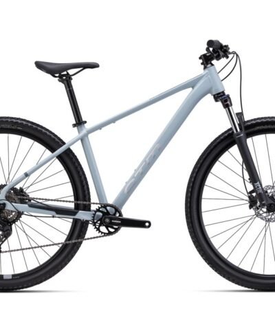 Velosipēds - CTM Rambler 1.0 29"
