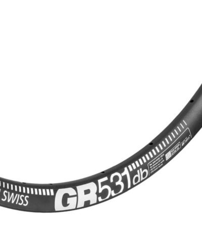 Riteņa aploce - DT Swiss 700C GR 531